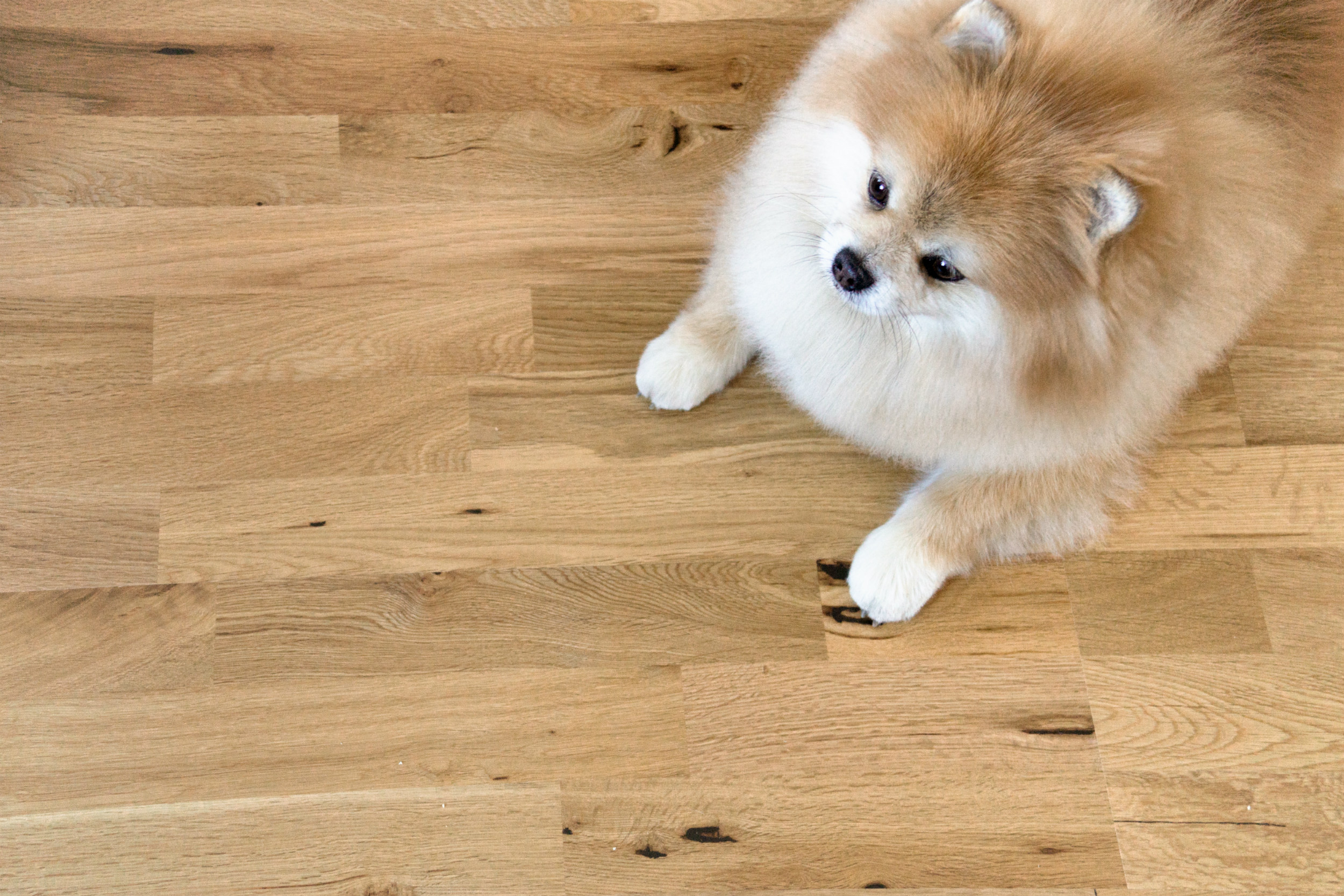 Паркетная доска Amber Wood Ретро Дуб бесцветный масло кантри Паркетная доска Amber Wood Ретро Дуб бесцветный масло кантри